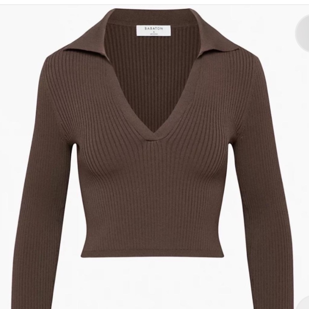 Babaton Brown Ribbed V-Neck Sweater